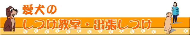 愛犬のしつけ教室・出張しつけ
